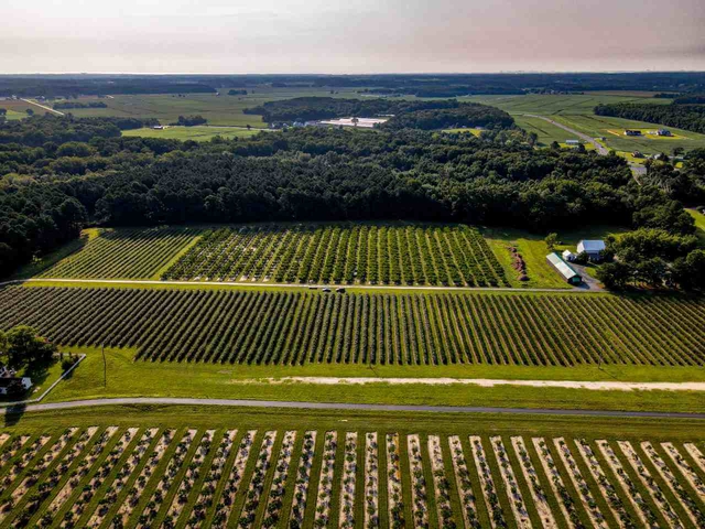 drone shot of the historic Bennett Farmstead with rows and rows of Bennett Peaches and Bennett Blueberries